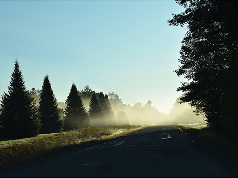 Cabin Fog